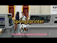 Multi Function 1300kg Rich G5/G6 Nozzle With LED Light UV Printer