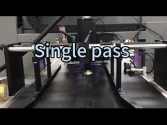 Single Pass UV Printer
