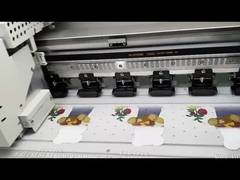 Printing DTF T Shirt Printer with 4sqm/h Speed Mode and Optional Photoprint Rip Software
