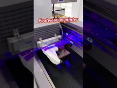 AC 220V/50Hz/60HZ Power Supply Single Pass UV Printer with Ricoh Gen 5i Nozzle